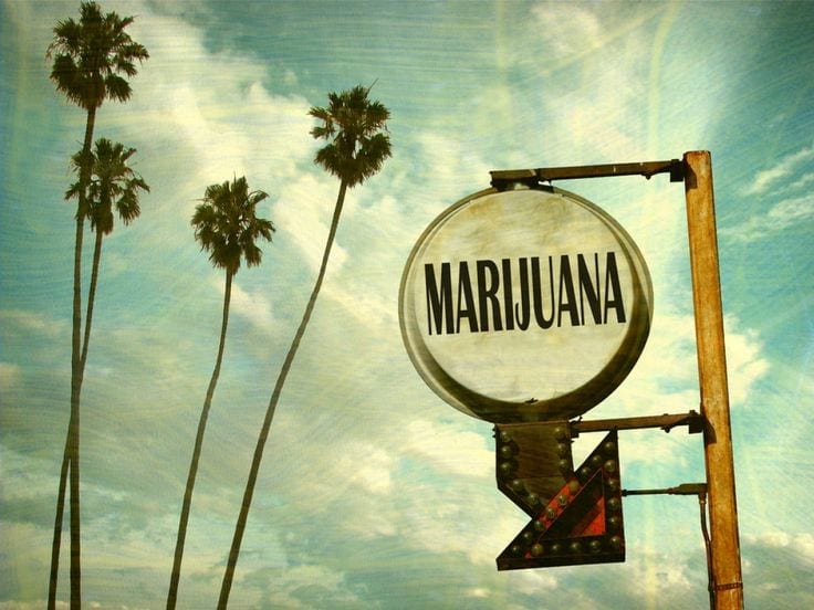 The Social Weed, Cannabis Recipes, Cannabis Strains, Cannabis Dispensary Locator, Cannabis News