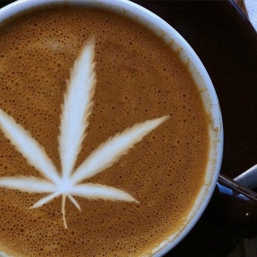 CANNABIS COFFEE