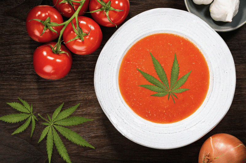 The Social Weed, Best source for all things Cannabis