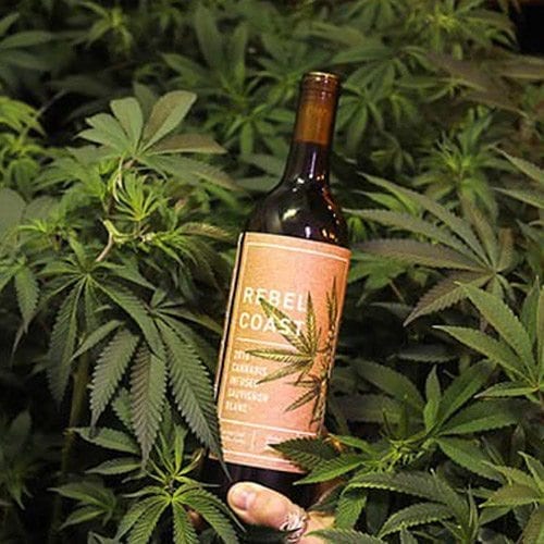 WORLD’S FIRST THC WINE COMING TO CALIFORNIA SOON
