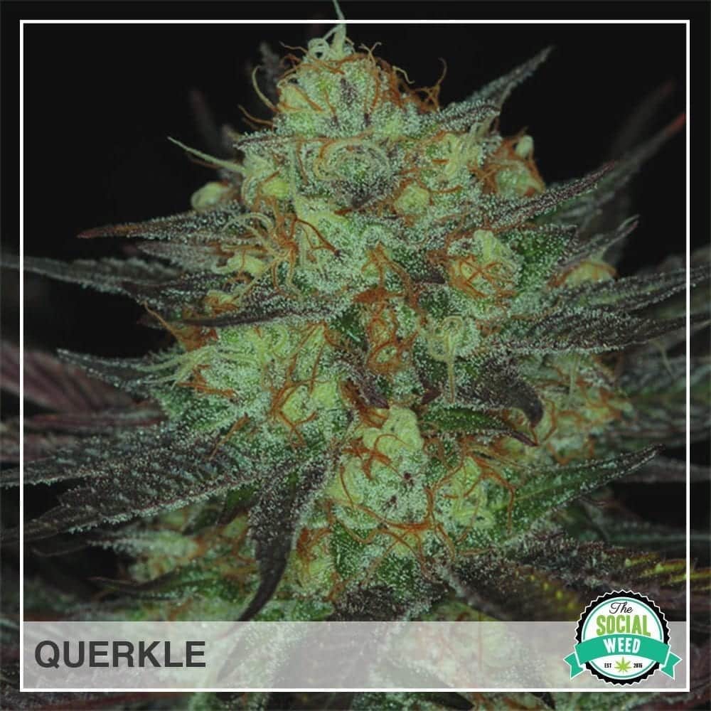 querkle