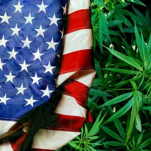 Bipartisan Push for Legalization of Marijuana