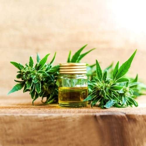 CBD Oil