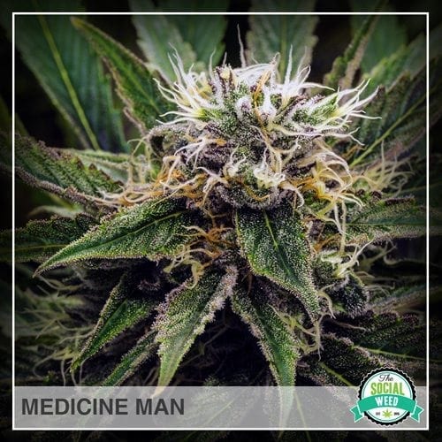 Medicine Man