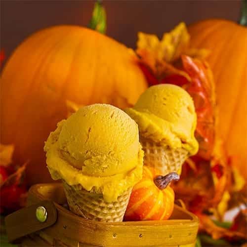 Pumpkin Ice Cream