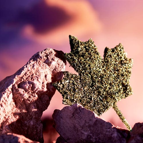 Canada Cannabis Leaf
