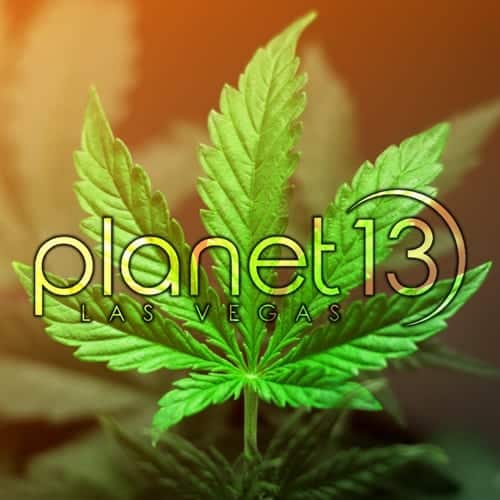 Planet 13