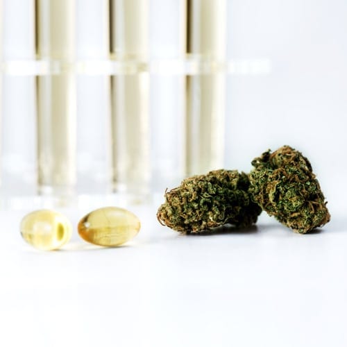 CBD oil Capsules & weed