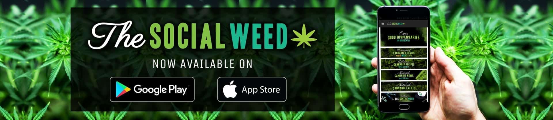 TSWAppBannerAppleGoogle The Social Weed APP