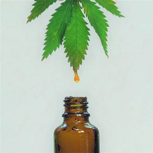 Cannabis oil and medicine bottle