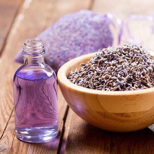 Lavendar/Oatmeal Dog Wash The Social Weed