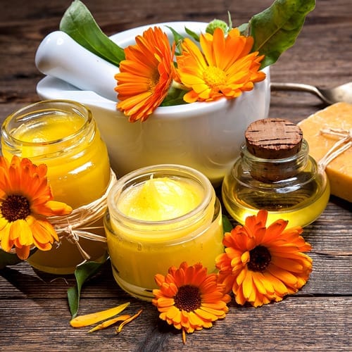 Calendula Cream The Social Weed