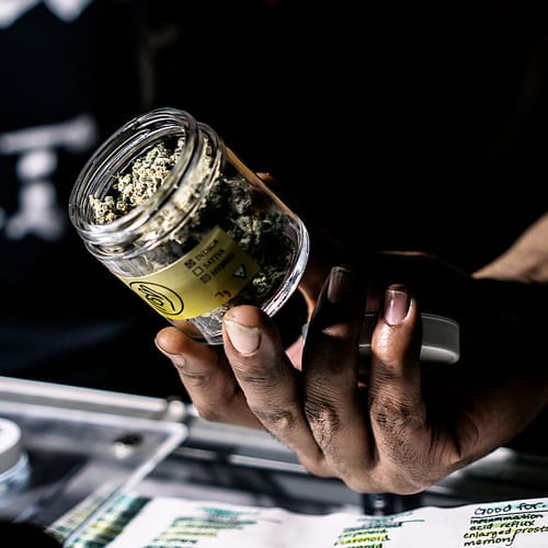 holding Cannabis in jar