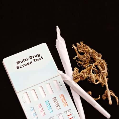 PreEmployment Marijuana Testing Goes Poof In NYC And Nevada The